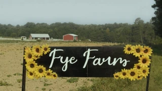 Fye Farm thumb